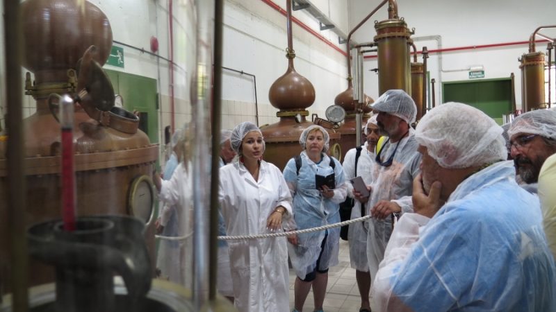 imera-ksekoyrasis-sto-plomari-gia-tin-aegean-regatta